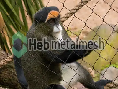 stainless steel mesh for monkey exhibit, monkey enclosures, monkey cage