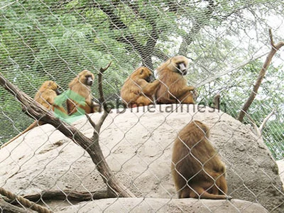 netting for monkey enclosure