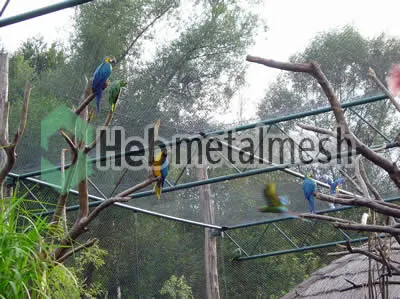 Parrots enclosures, exhibit cases
