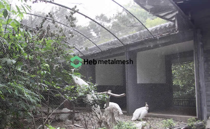 zoo mesh for peacock enclosure fence