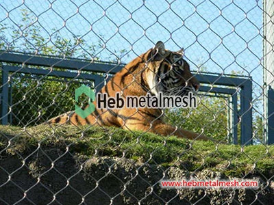 Zoo enclosures mesh for tiger enclosure, tiger exhibit, tiger pen, tiger cages