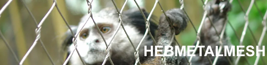 monkey enclosure fencing with stainless steel rope mesh