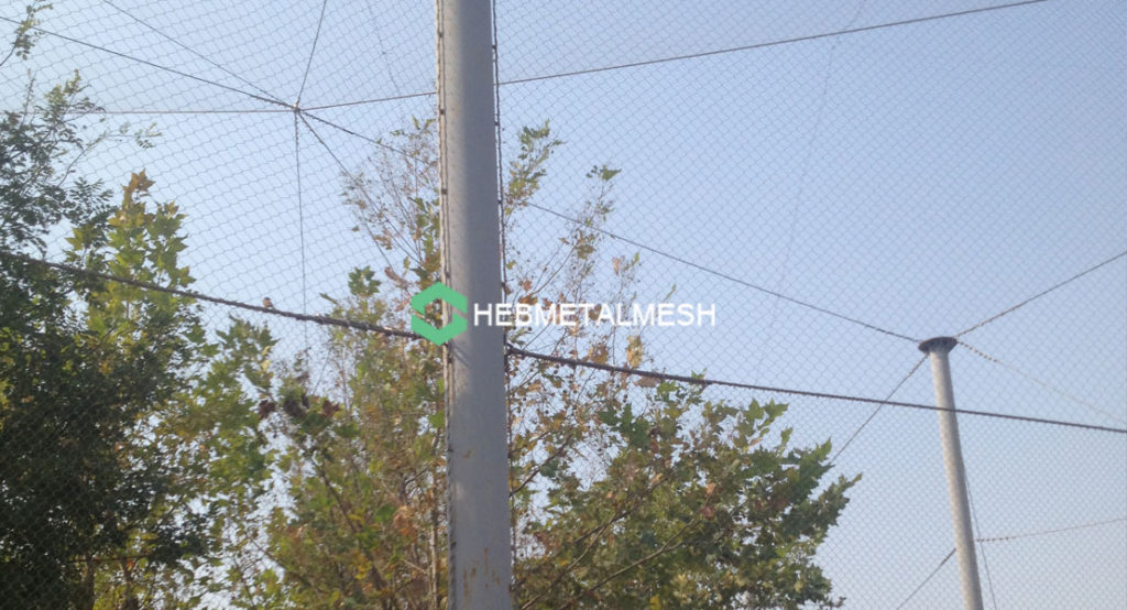 Wire Mesh for Aviary – Uses, and advantages of Aviary Wire Mesh