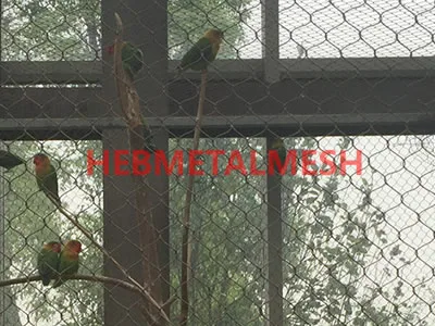Netting for Bird Cages
