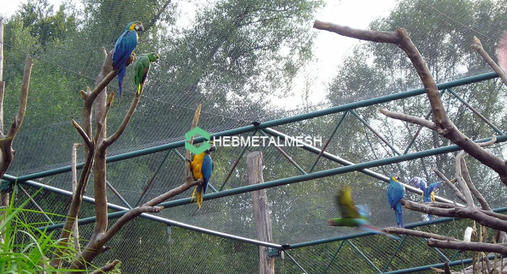 The Benefits of Choosing Stainless Steel Bird Cage Wire for Your Feathered Friends