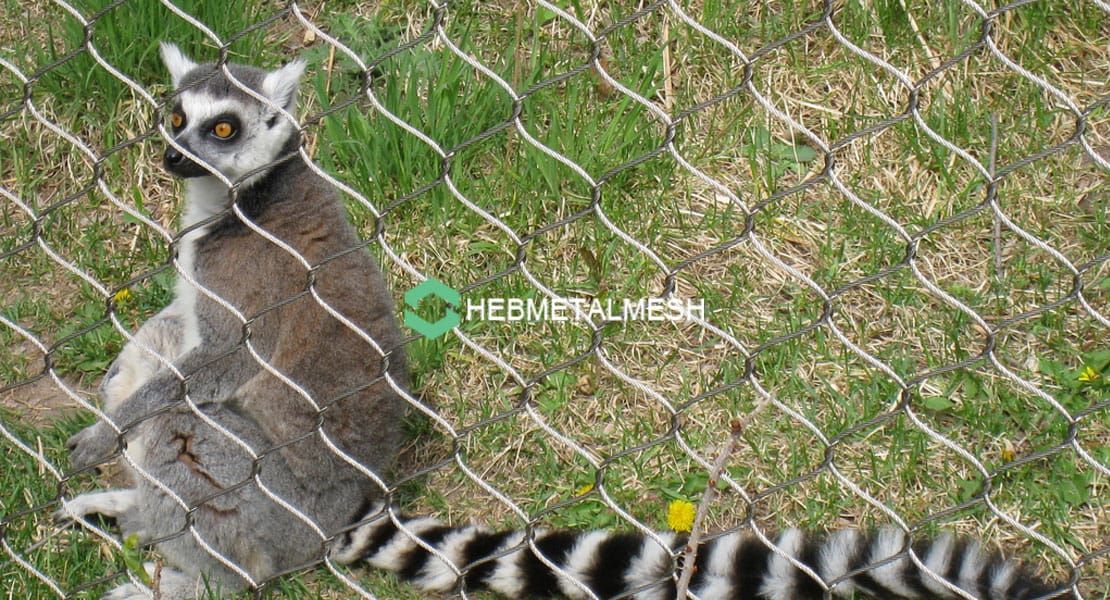 Understanding Animal Cage Wire Mesh Types, Uses, and Benefits