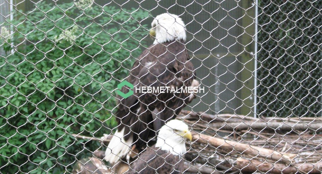 Easy Bird Netting Enclosure photo