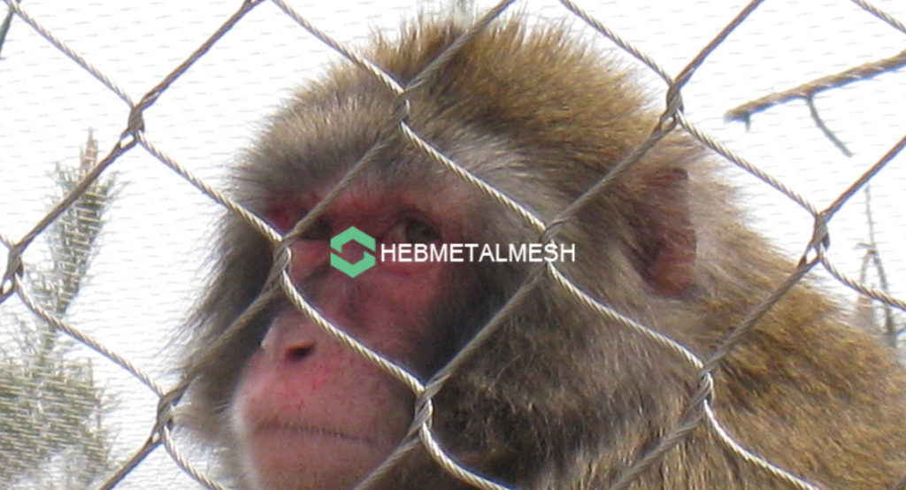 Stainless steel zoo cages with handwoven stainless steel netting for zoo mesh
