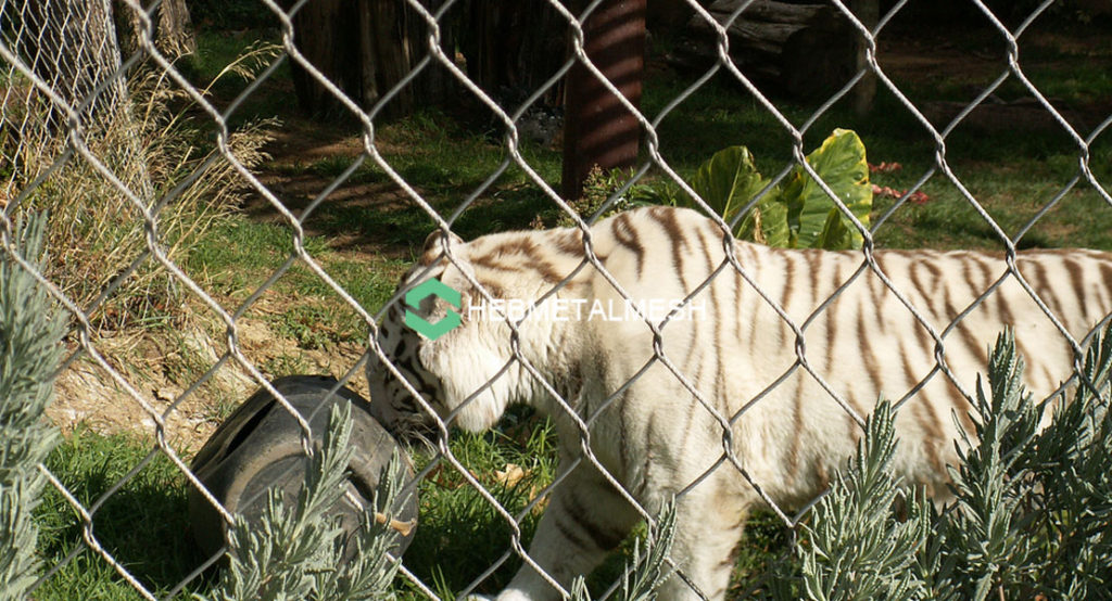Zoo animal mesh for tiger enclosure