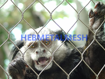 stainless steel rope mesh for small animal fence