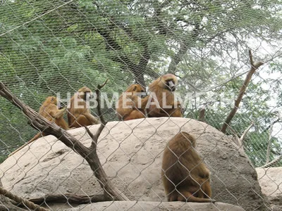 Large Animal Enclosure for Monkey Exhibit