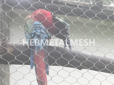 Wire Bird Cage Panels with Zoo Mesh Series