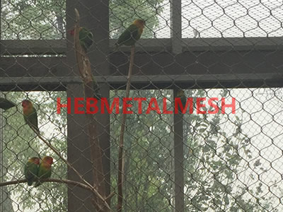 Small parrots aviary enclosure