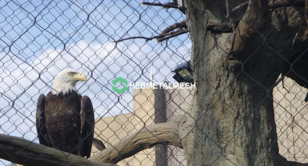 How Hawk Netting Can Help You Save Time and Money in the Long Run