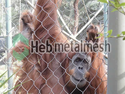 gibbon zoo cage design from handwoven stainless steel netting zoo mesh
