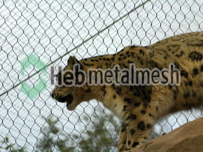 leopard enclosure with zoo animal mesh