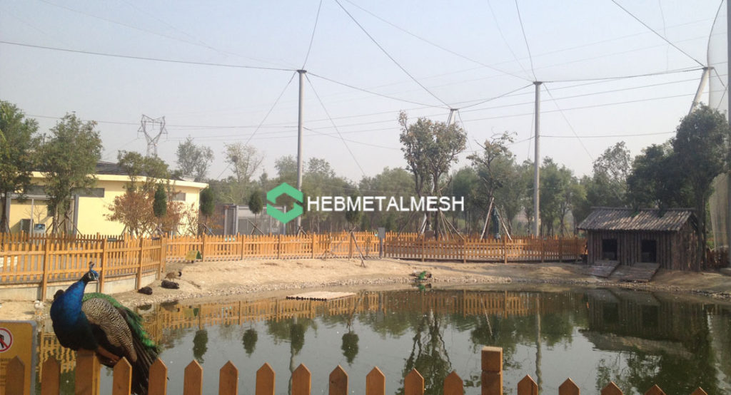 Stainless steel aviary mesh with stainless steel rope mesh