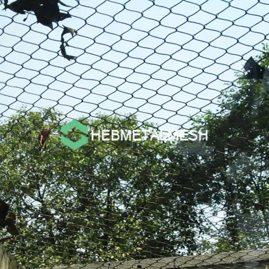 Stainless steel rope mesh for wire mesh aviary in Zoos