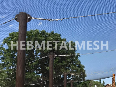 Aviary Nets with Hebmetalmesh