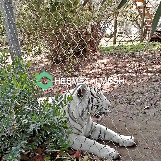 Stainless Steel Rope Mesh For Zoo Tiger Enclosure