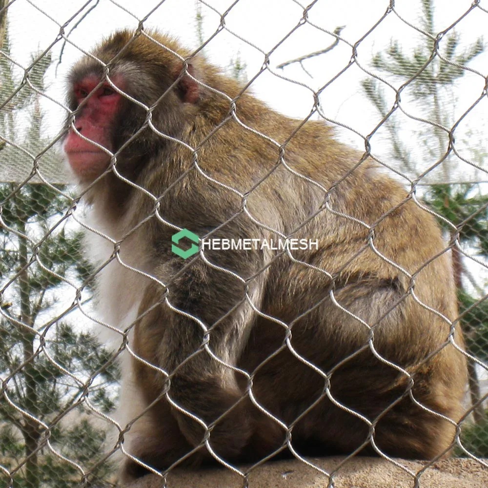 Aperçu complet des mailles des enclos pour singes