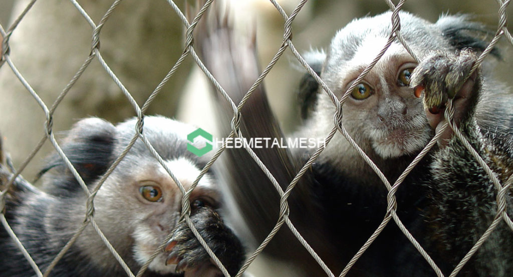 Handwoven Stainless Steel Netting for Primate Enclosures