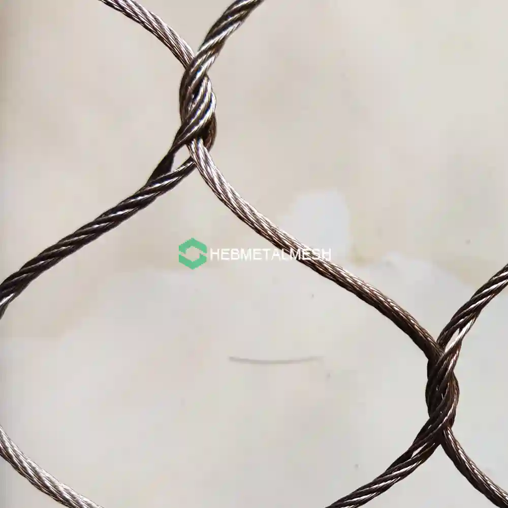 zoo mesh for hawk fencing