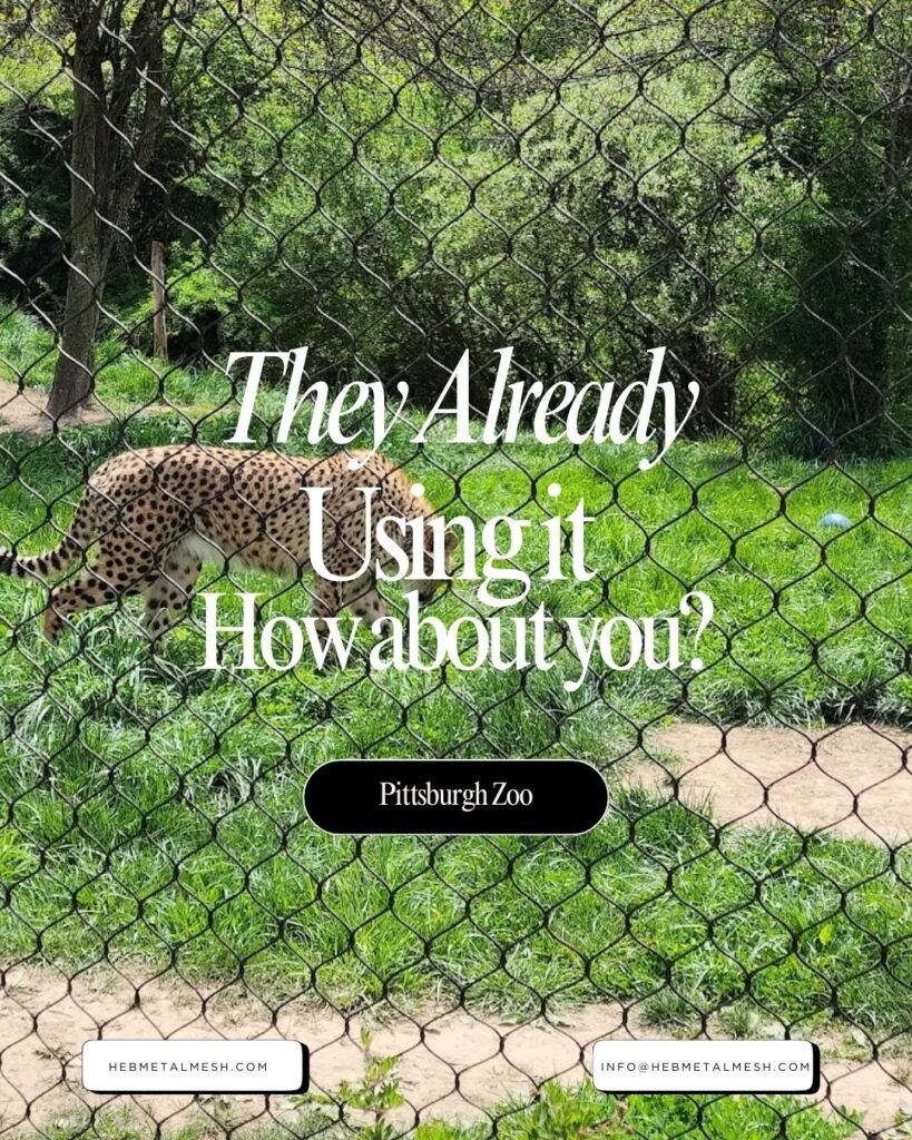 Leopard enclosure with stainless steel zoo mesh