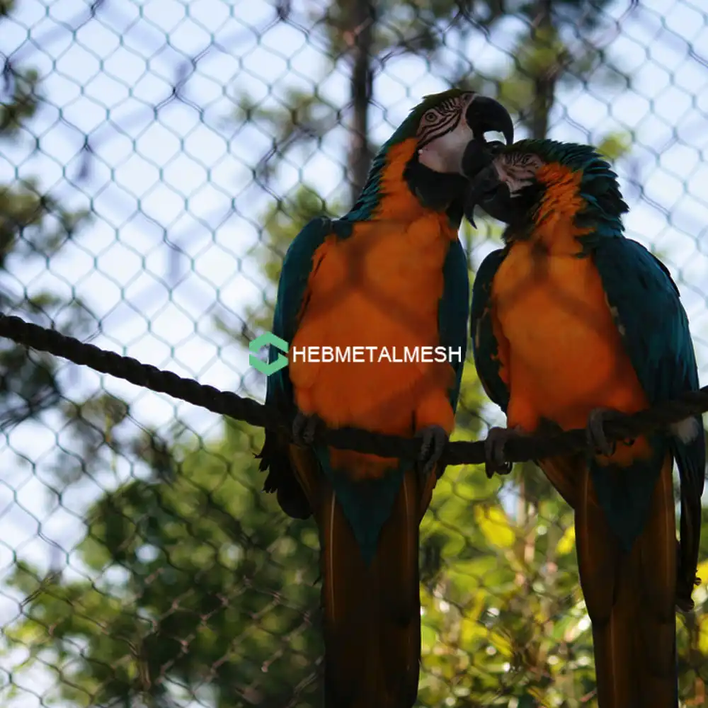Discover the ultimate guide to using Macaw aviary netting