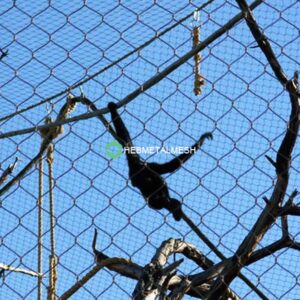 monkey protection mesh