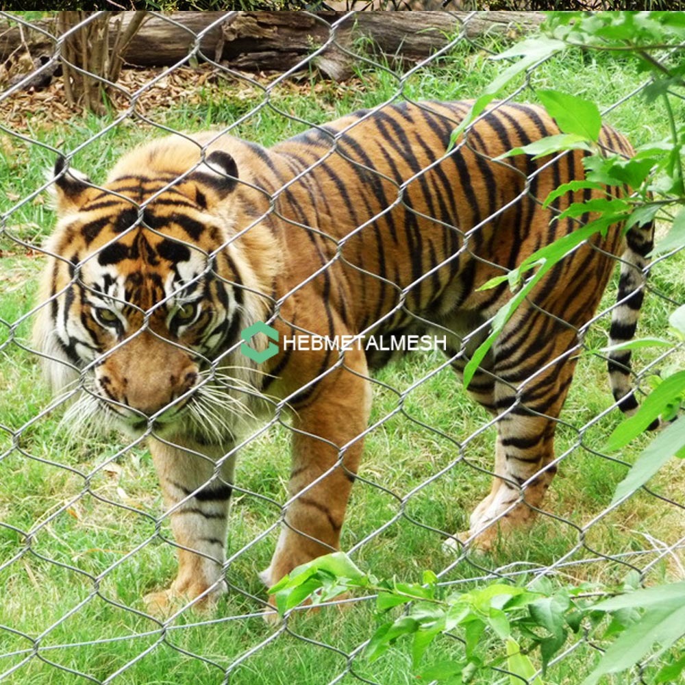 Zoo mesh for tiger enclosures