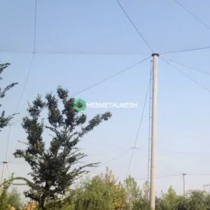 Successful bird control with netting