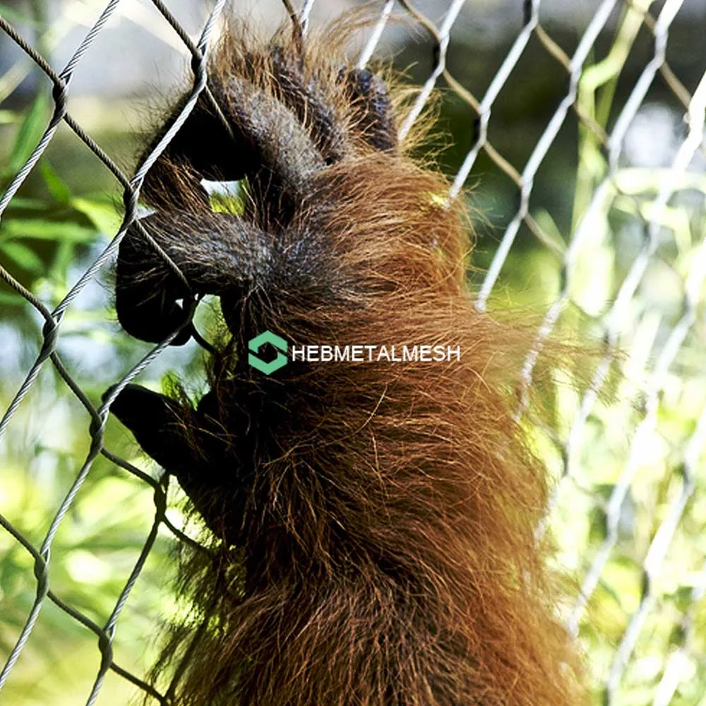 A stainless steel animal enclosure A stainless steel animal enclosure
