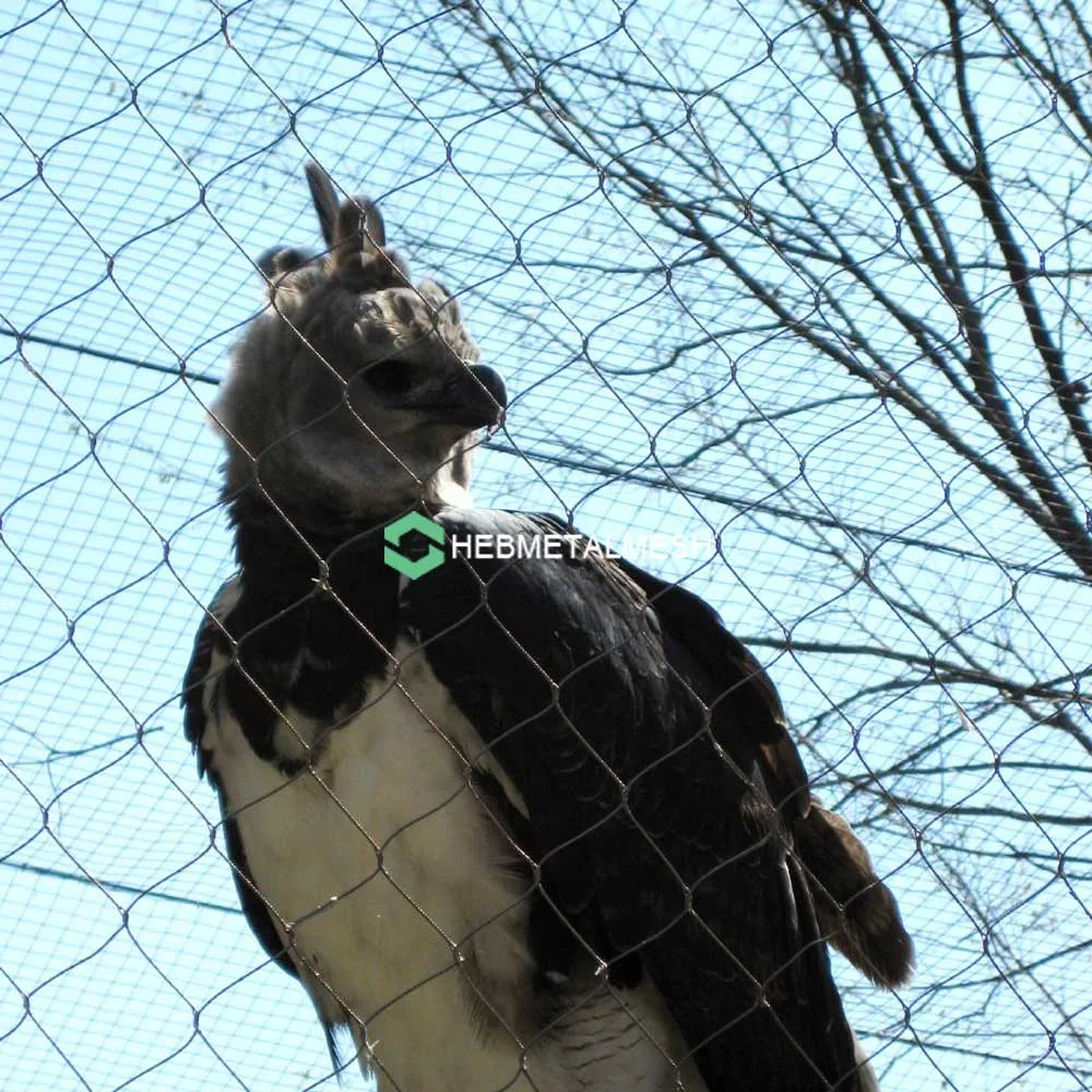 A stainless steel aviary wire enclosure A stainless steel aviary wire enclosure