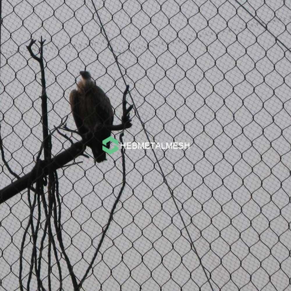 Building and Maintaining a Large Bird Aviary