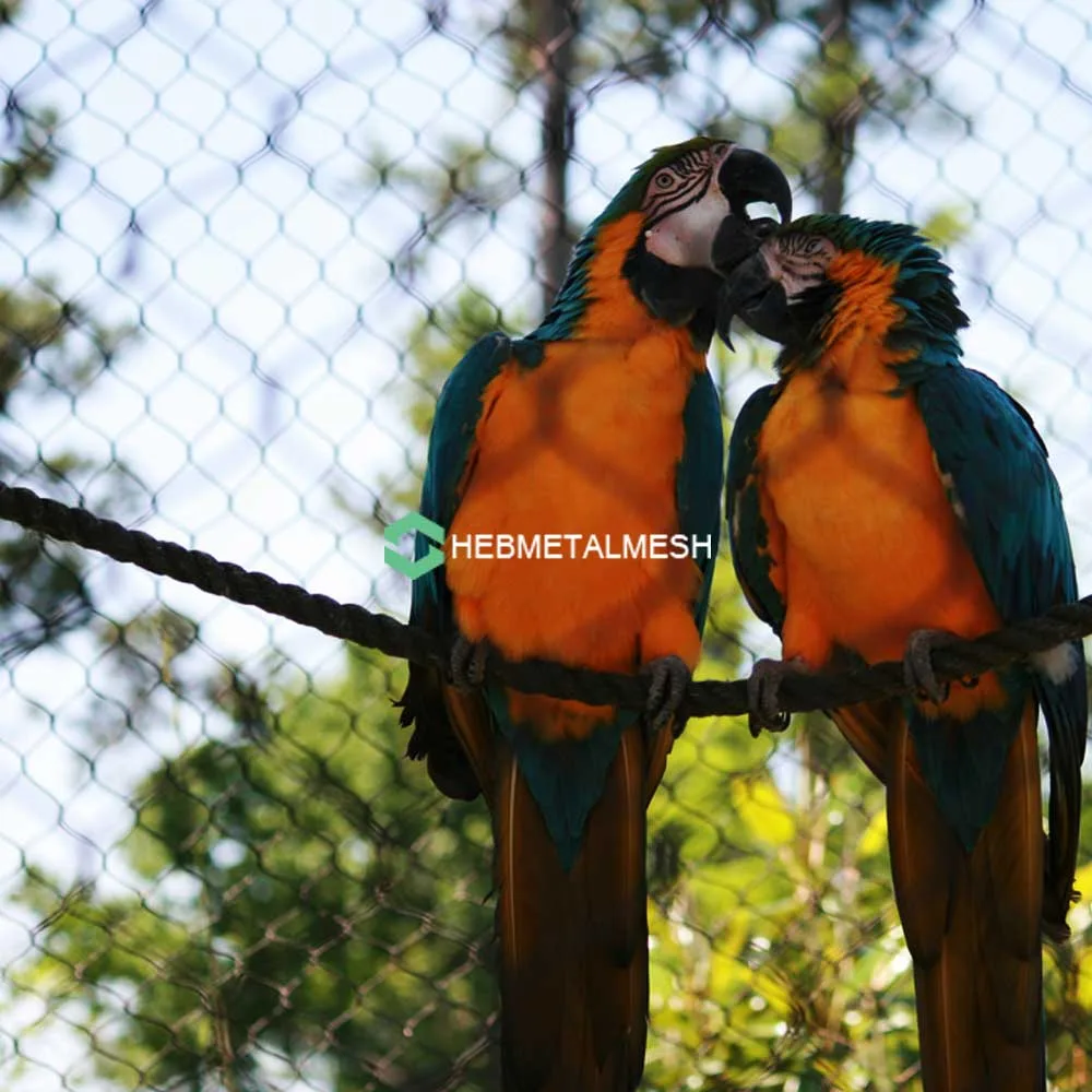 Macaw enclosure with handwoven stainless steel netting Macaw enclosure with handwoven stainless steel netting
