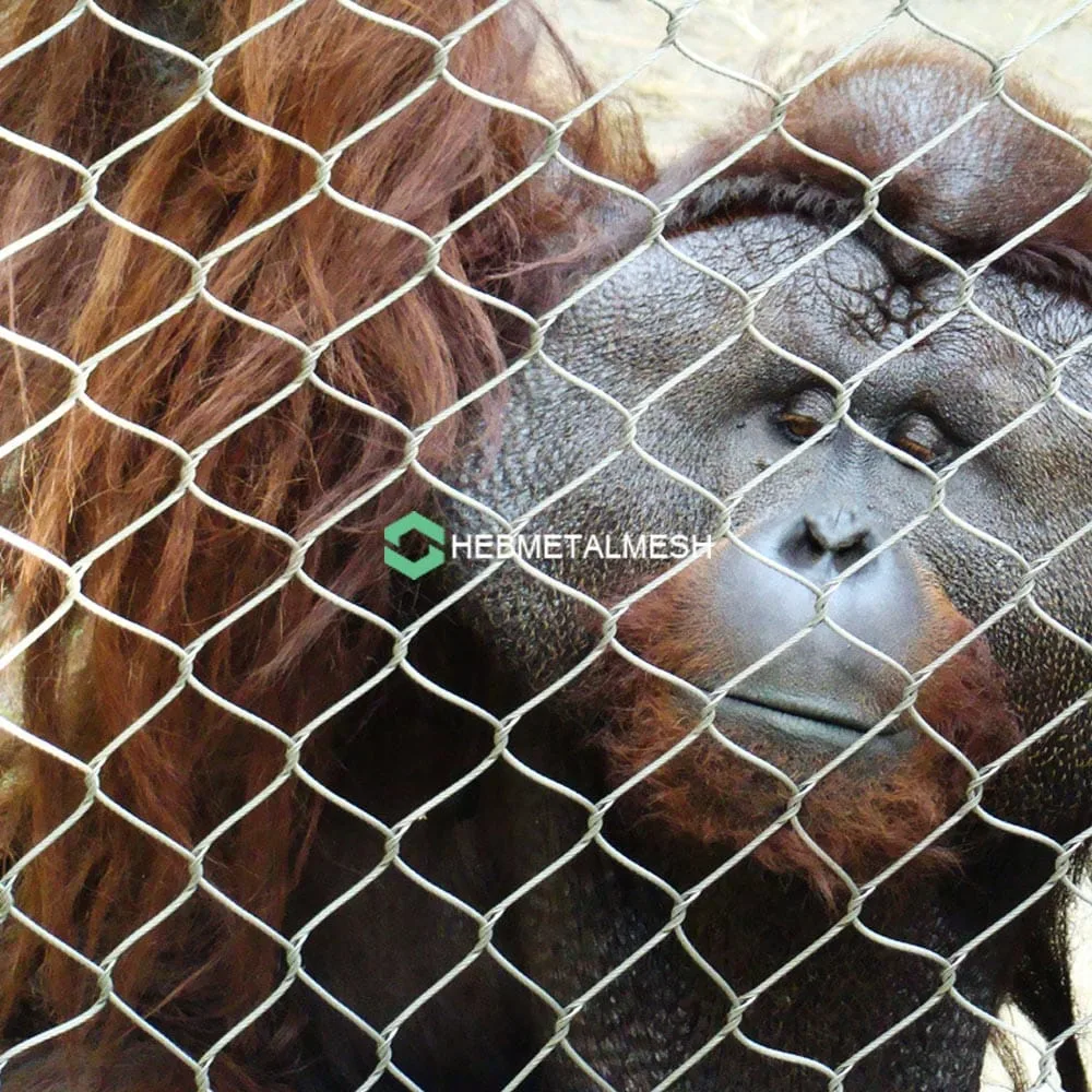 Stainless steel mesh in a zoo enclosure Stainless steel mesh in a zoo enclosure