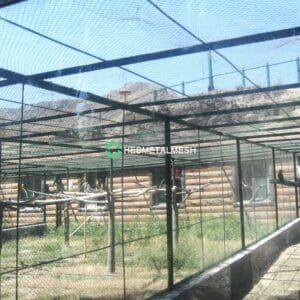 View of What Is an Aviary and Its Design Features
