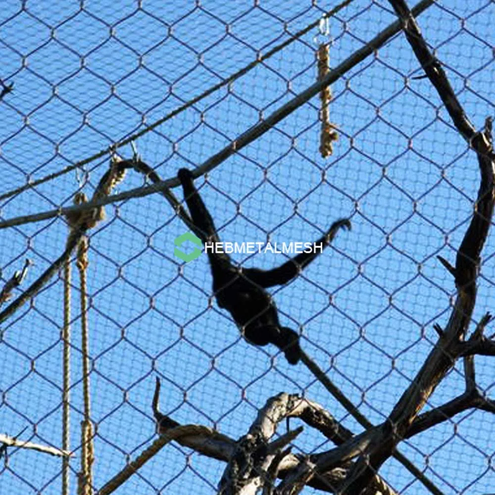 Design the Perfect Primate Enclosure