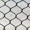 Ultimate Guide to Designing Zebra Enclosures
