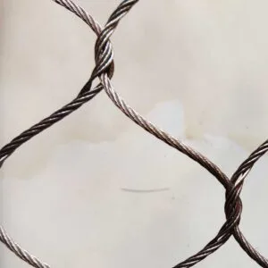 Unleash Your Creativity with Peacock Wire