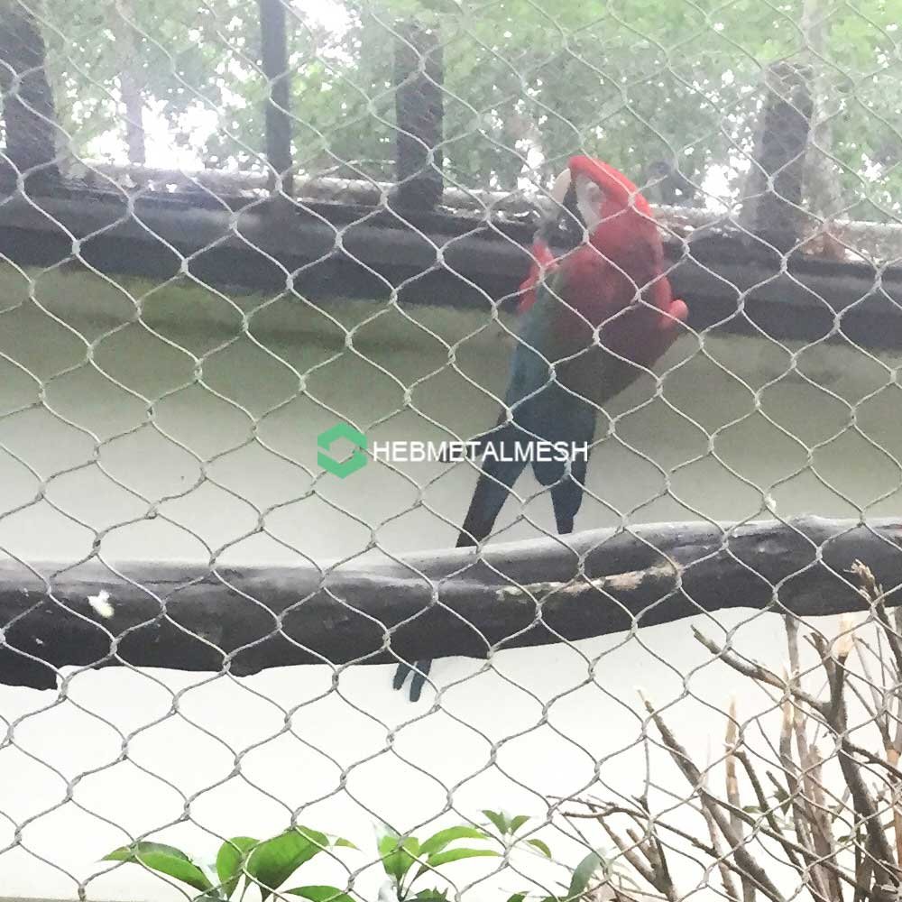 the Perfect Parrot Aviary