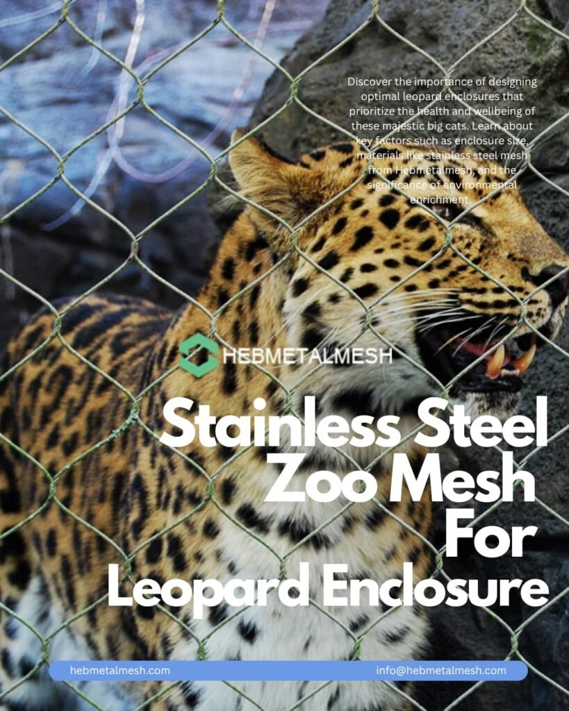 The Ultimate Guide to Leopard Enclosures: Crafting the Perfect Habitat with Hebmetalmesh