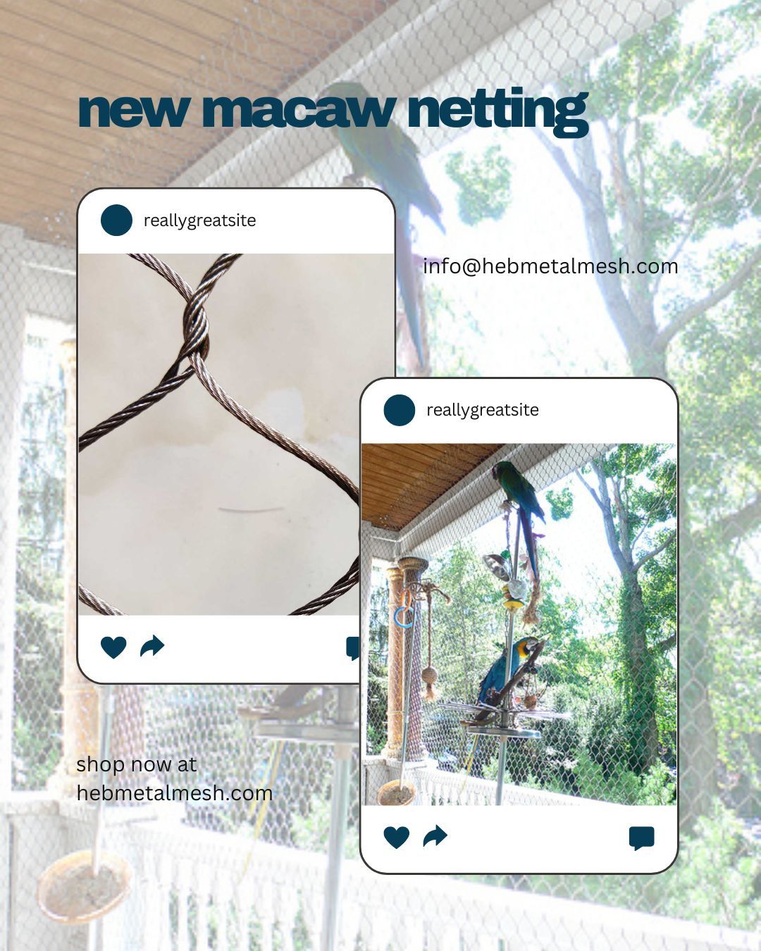 Ultimate Guide to Macaw Cage Setup with Wire Cable Netting