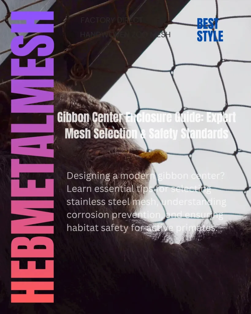 Gibbons brachiation inside a custom-designed stainless steel mesh habitat at a professional gibbon center.