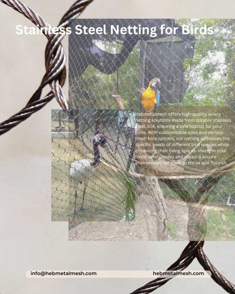 The Ultimate Guide to Netting for Birds: Protect Your Feathered Friends with Hebmetalmesh's Aviary Solutions