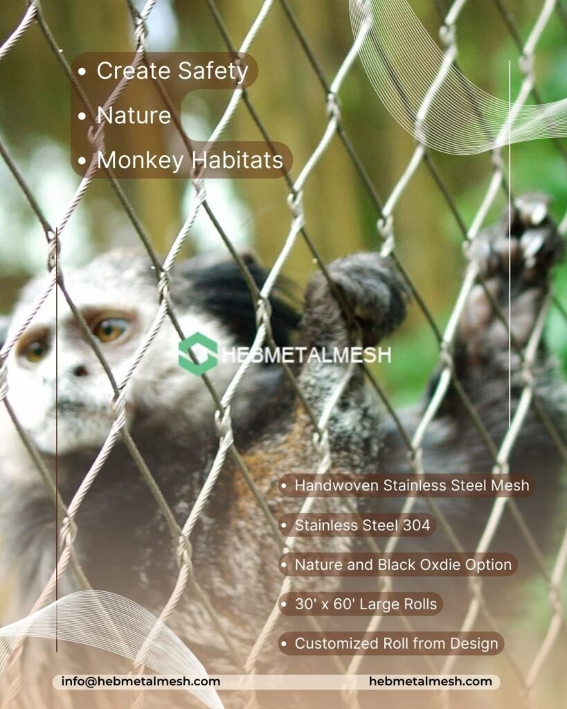 See what is new for monkey habitat