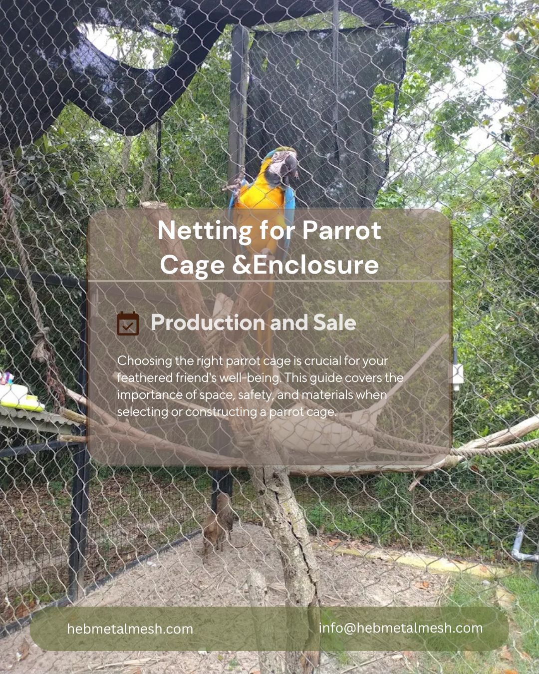 Wire Rope Netting for A Better Parrot Cage & Enclosure