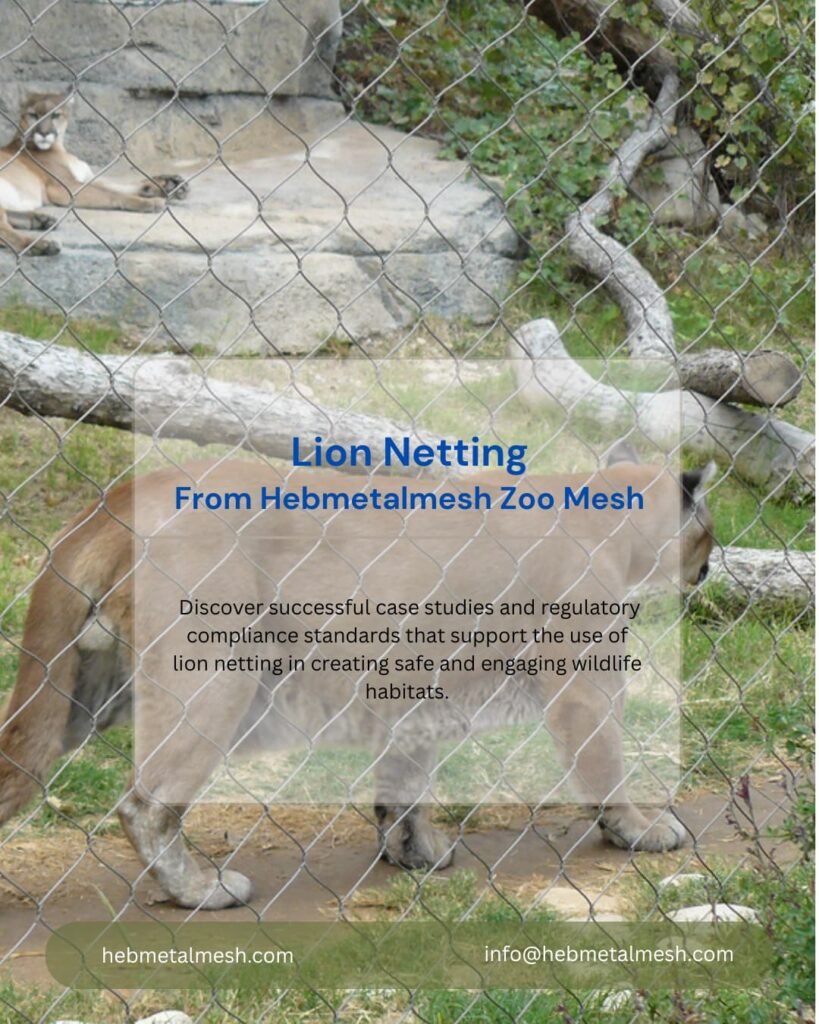 Stainless steel lion net solution from Hebmetalmesh zoo mesh