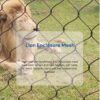 Handwoven stainless steel 304 rope mesh 1/8 inch for lion enclosure